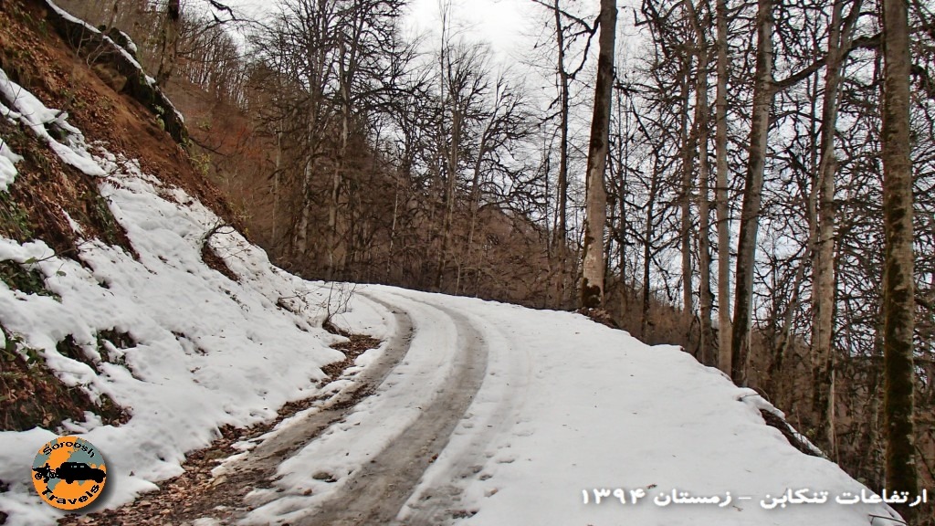 ارتفاعات تنکابن – طبیعت زیبای زمستان در جنگل – زمستان ۱۳۹۴