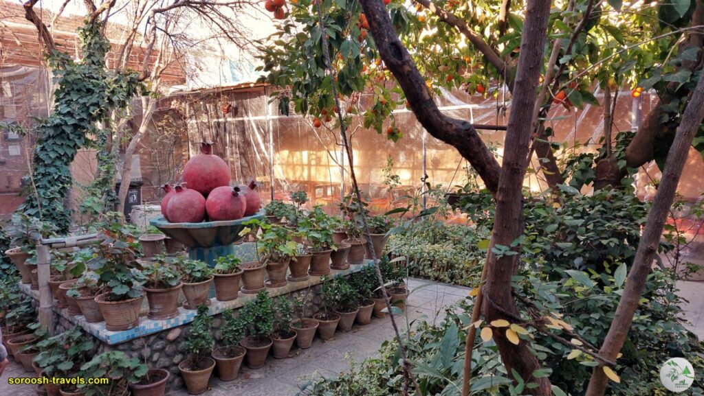 اقامتگاه بومگردی نارستان در ارسنجان - زمستان 1402 - 2024