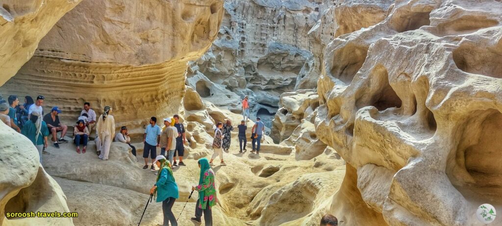 طبیعتگردی در جزیره قشم - زمستان 1402 - 2024