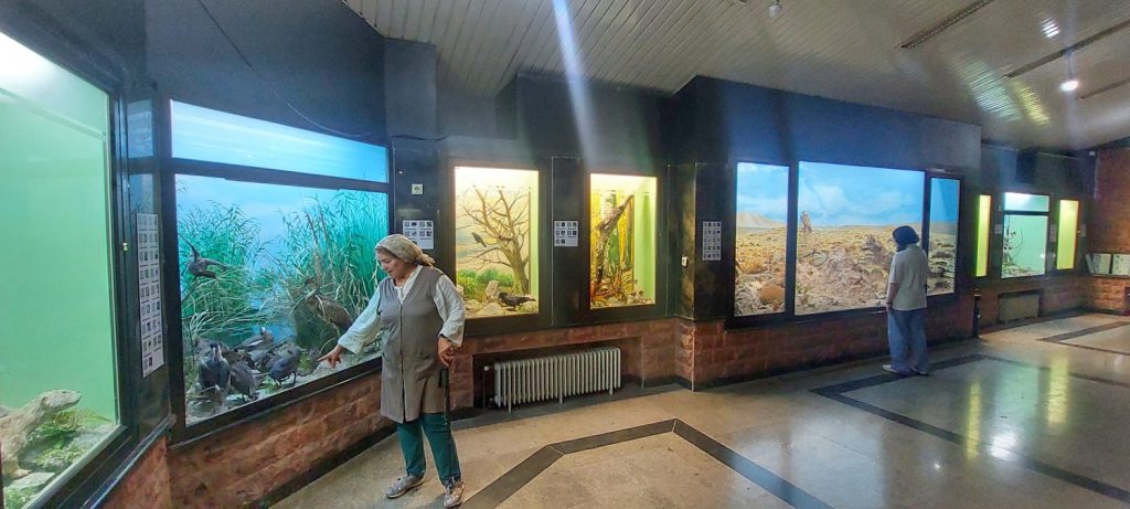 موزه حیات وحش در پارک ملی گلستان - خرداد 1405