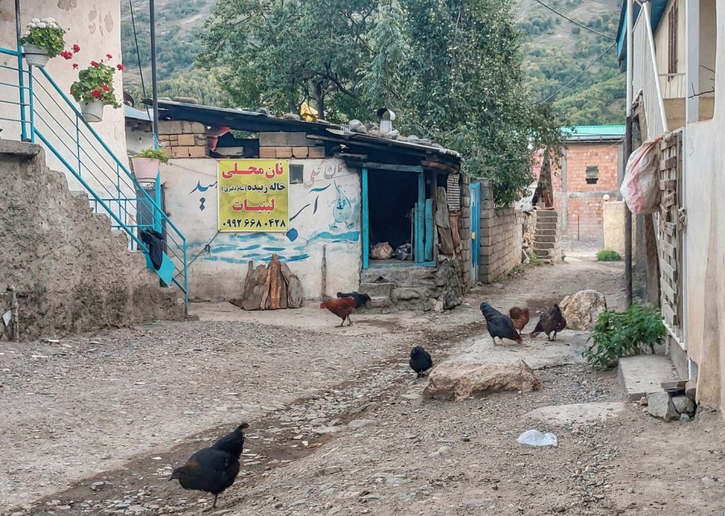 روستای دلیر - آخر تابستان 1405 2026